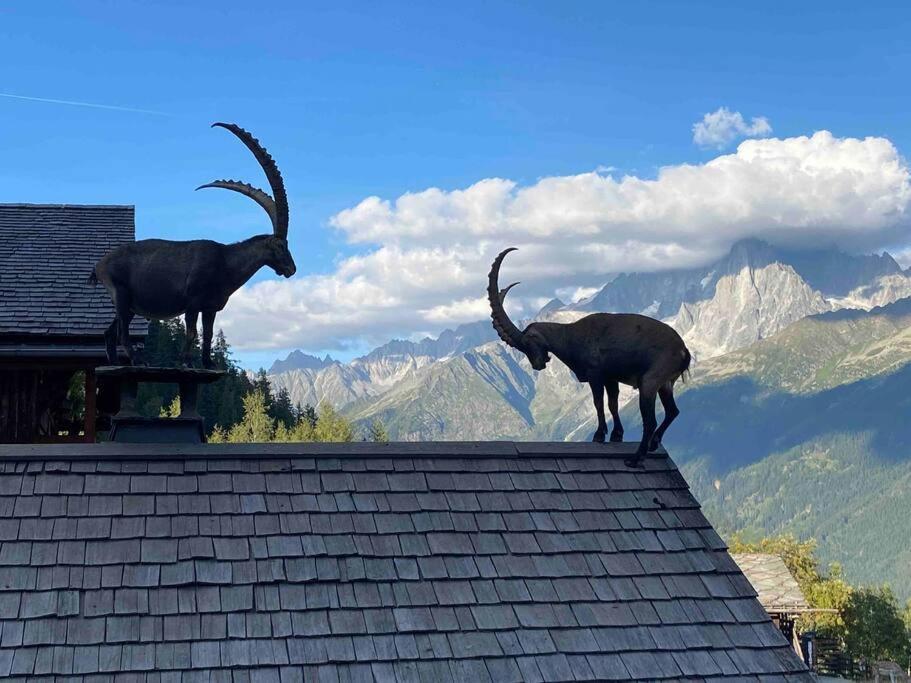 Praz Sur Arly - Proche Des Pistes Et De Megeve Apartment Exterior photo