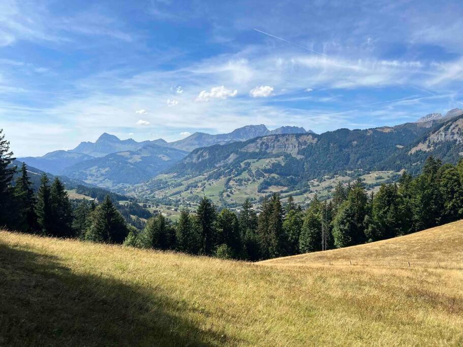 Praz Sur Arly - Proche Des Pistes Et De Megeve Apartment Exterior photo